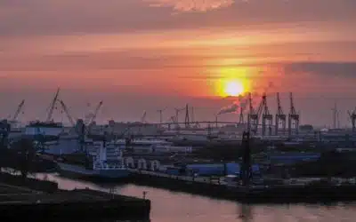 Hamburger Hafen - Containerlogistik